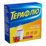 ТераФлю, порошок для приготовления раствора для приема внутрь, 11.5 г, 10 шт, лесные ягоды фото 2