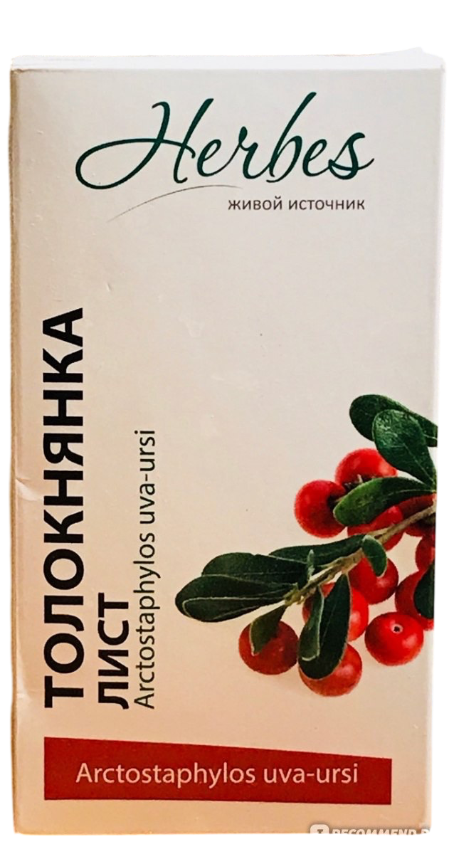 Толокнянки листья, фиточай, 1.5 г, 20 шт. фото