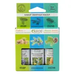 Oleos Набор масел эфирных Кедр атласский + Можжевельник обыкновенный + Сосна обыкновенная, масло эфирное, 10 мл, 3 шт. фото 1