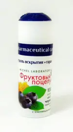 Фруктовый поцелуй Помада губная гигиеническая, бальзам для губ, 3.5г, 1 шт, черника фото