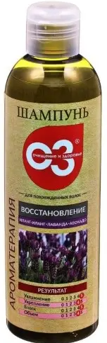 Очищение и здоровье шампунь восстановление, шампунь, 250 мл, 1 шт. фото