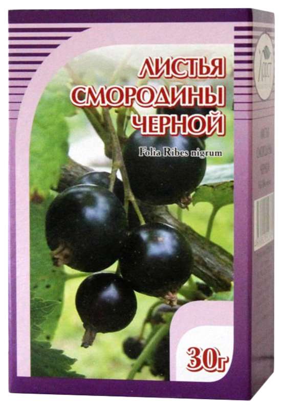 Смородины черной листья, фиточай, 30 г, 1 шт. фото
