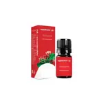 Здравсити Масло эфирное Гвоздика, масло эфирное, 10 мл, 1 шт. фото