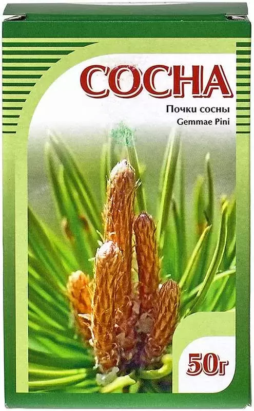 Сосны почки, фиточай, 50 г, 1 шт. фото