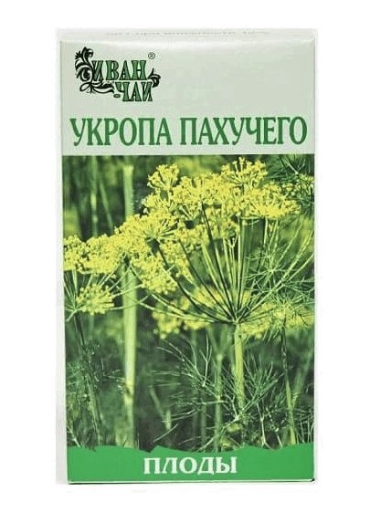 Укропа пахучего плоды, лекарственное растительное сырье, 50 г, 1 шт. фото