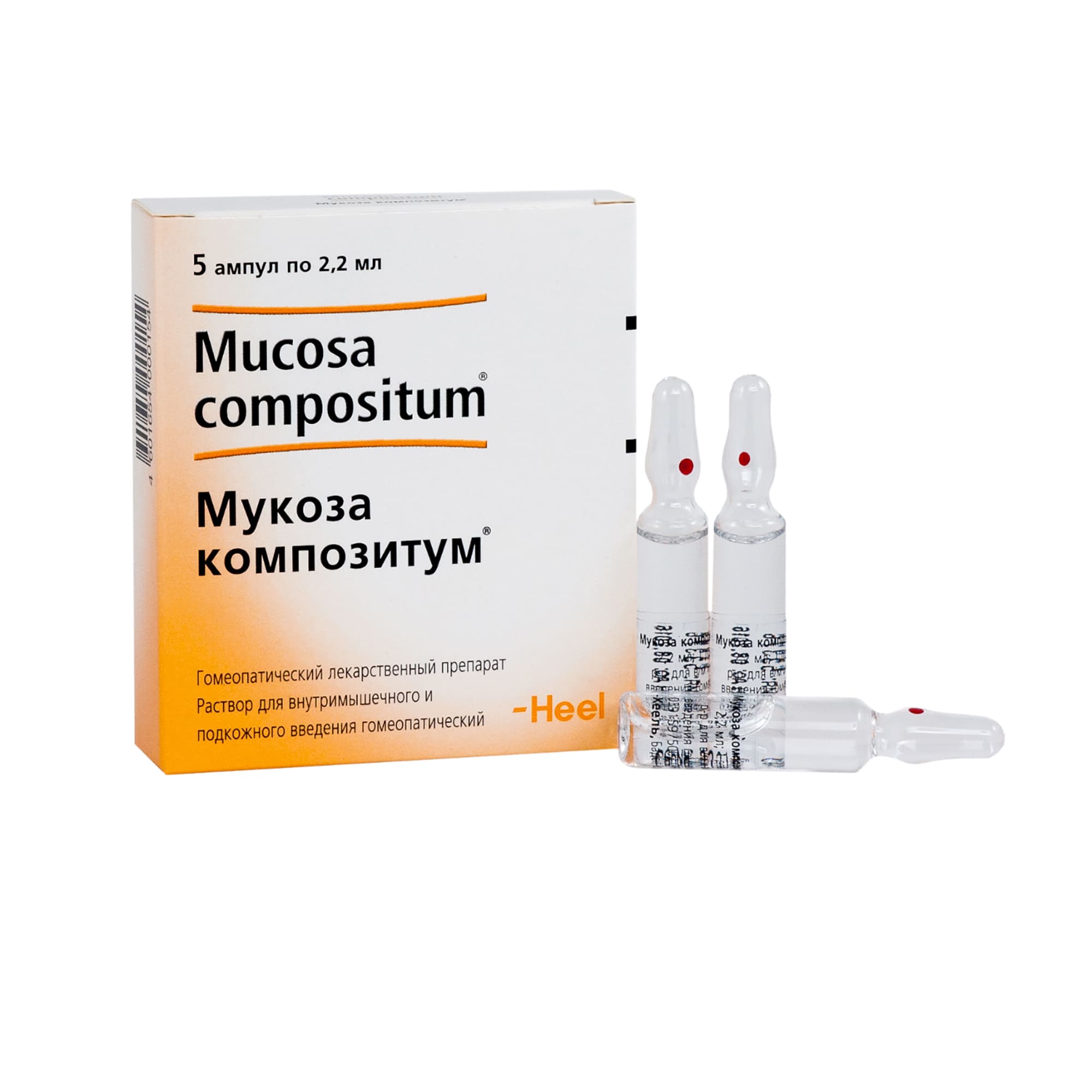 Мукоза композитум, раствор для внутримышечного и подкожного введения гомеопатический, 2.2 мл, 5 шт. фото
