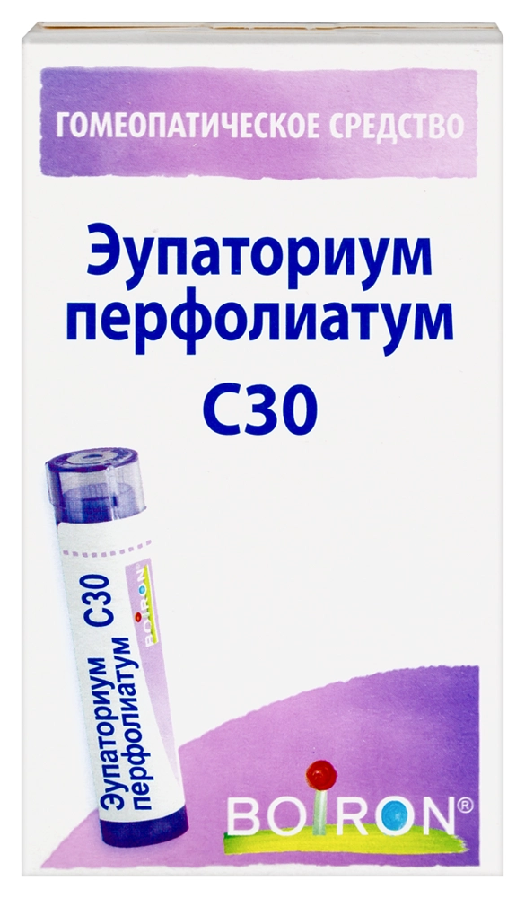 Эупаториум перфолиатум С30, гранулы гомеопатические, 4 г, 1 шт. фото