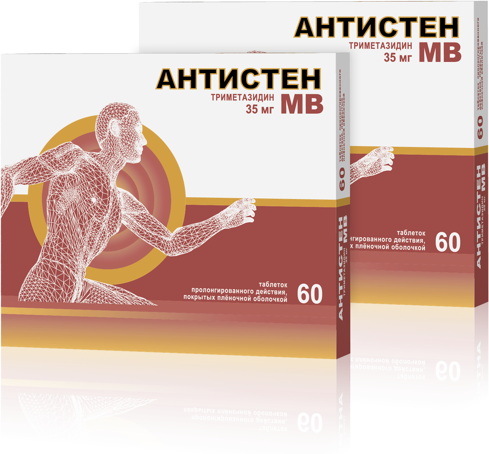 Антистен МВ, 35 мг, таблетки пролонгированного действия, покрытые пленочной оболочкой, 60 шт, комбиупаковка 1+1 фото