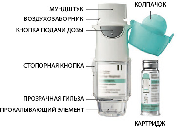 Инструкция по применению Спирива Респимат, 2.5 мкг/доза, 60 доз, раствор для ингаляций, в комплекте с ингалятором Респимат, 4 мл, 1 шт. - схема 1