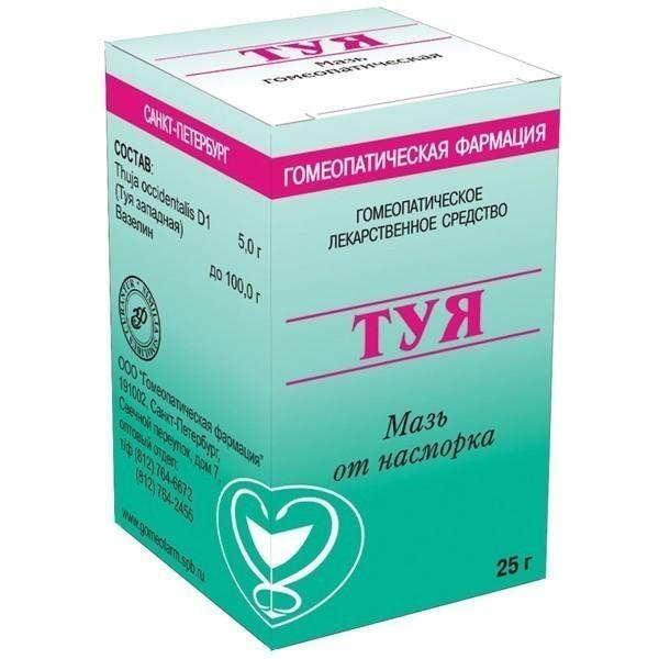 Туя, мазь для наружного применения гомеопатическая, 25 г, 1 шт. фото