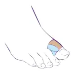 Тривес Перегородка межпальцевая с петлей на первый палец стопы СТ-54.4, р. L, 1 шт, тканевая основа фото 3