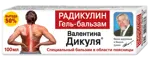 Валентина Дикуля Радикулин, гель-бальзам, 100 мл, 1 шт. фото