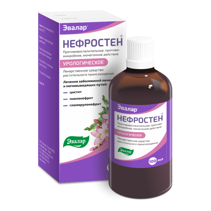Эвалар Нефростен, раствор для приема внутрь, 100 мл, 1 шт. фото