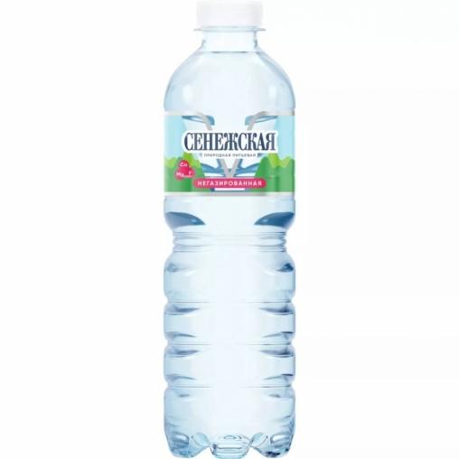 Сенежская Вода минеральная, вода питьевая негазированная, 0.5 л, 1 шт. фото