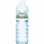 Сенежская Вода минеральная, вода питьевая негазированная, 0.5 л, 1 шт. фото 