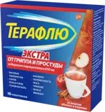 ТераФлю Экстра, порошок для приготовления раствора для приема внутрь, 21.78 г, 10 шт, яблоко и корица фото
