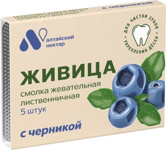 Живица смолка лиственничная, жевательная резинка, 5 шт, черника фото