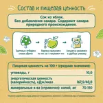 Фрутоняня сок, сок, 200 мл, 1 шт, яблоко прямого отжима фото 4