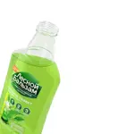 Лесной бальзам Природная свежесть, ополаскиватель полости рта, 250 мл, 1 шт, алоэ + белый чай, с фтором фото 5