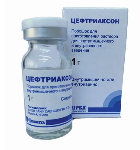 Цефтриаксон, 1 г, порошок для приготовления раствора для внутривенного и внутримышечного введения, 1 шт. фото
