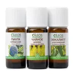Oleos Набор масел эфирных Пихта сибирская + Чайное дерево + Эвкалипт шаровидный, масло эфирное, 10 мл, 3 шт. фото 3