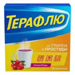 ТераФлю, порошок для приготовления раствора для приема внутрь, 11.5 г, 10 шт, лесные ягоды фото 3