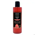 ORGANIC GURU Шампунь для волос Гранат и Мята, шампунь, 250 мл, 1 шт. фото