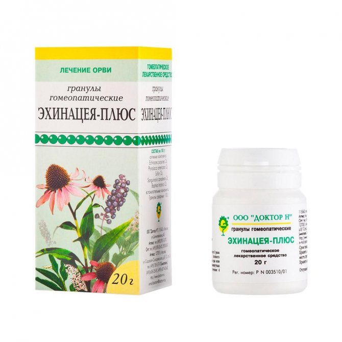 Эхинацея-плюс, гранулы гомеопатические, 20 г, 1 шт. фото