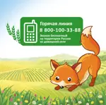 Малютка каша молочная кукурузная, каша, 220 г, 1 шт. фото 11