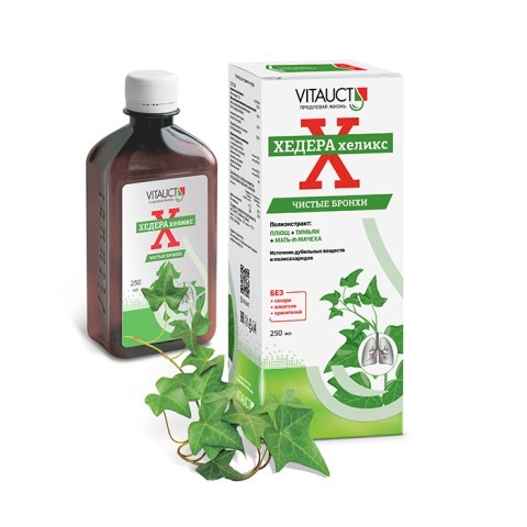 Vitauct Хедера Хеликс, экстракт жидкий, 250 мл, 1 шт, без сахара фото