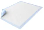 Dailee Bed Plus пеленки впитывающие, 60 см х 90 см, 10 шт. фото 2