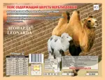 Пояс эластичный согревающий с шерстью верблюда, р. 2, 1 шт. фото 2