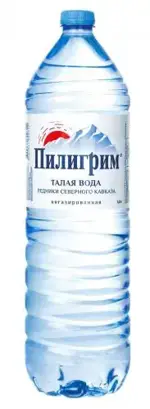 Пилигрим Вода  минеральная питьевая негазированная, вода питьевая негазированная, 1.5 л, 1 шт. фото