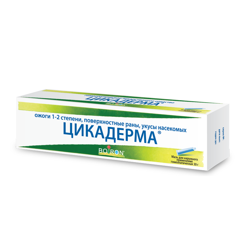 Цикадерма, мазь для наружного применения гомеопатическая, 30 г, 1 шт. фото