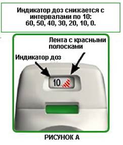 Инструкция по применению Бретарис Дженуэйр, 322 мкг/доза, 60 доз, порошок для ингаляций дозированный, 1 шт. - схема 9