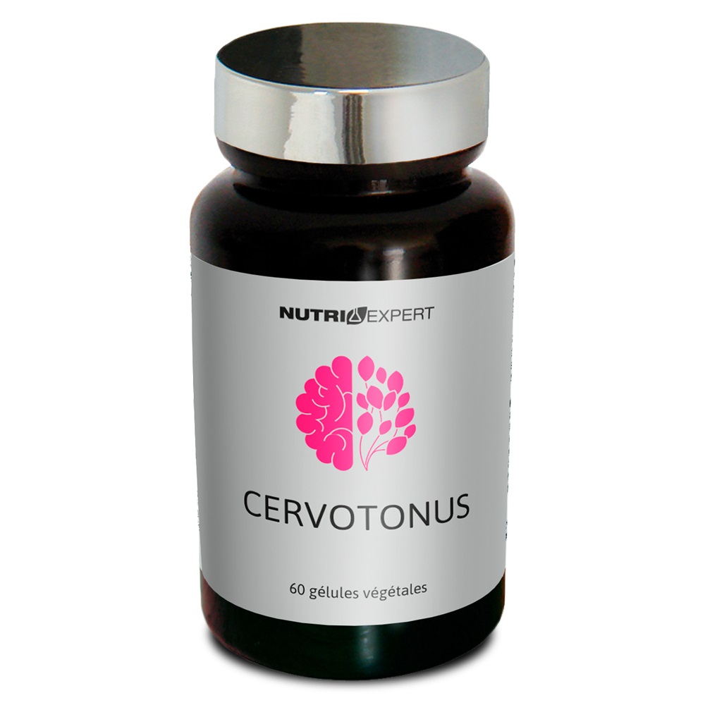 NutriExpert Cervotonus для памяти и лучшей концентрации, капсулы, 60 шт. фото