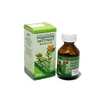 Родиолы экстракт жидкий, экстракт жидкий для приема внутрь, 30 мл, 1 шт. фото 