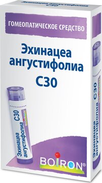 Эхинацеа ангустифолиа С30, гранулы гомеопатические, 4 г, 1 шт. фото