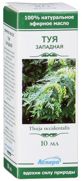 Масло эфирное Туя Западная, масло эфирное, 10 мл, 1 шт. фото