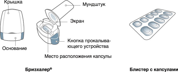 Инструкция по применению Онбрез Бризхалер, 150 мкг, капсулы с порошком для ингаляций, в комплекте с ингалятором Бризхалер, 30 шт. - схема 1