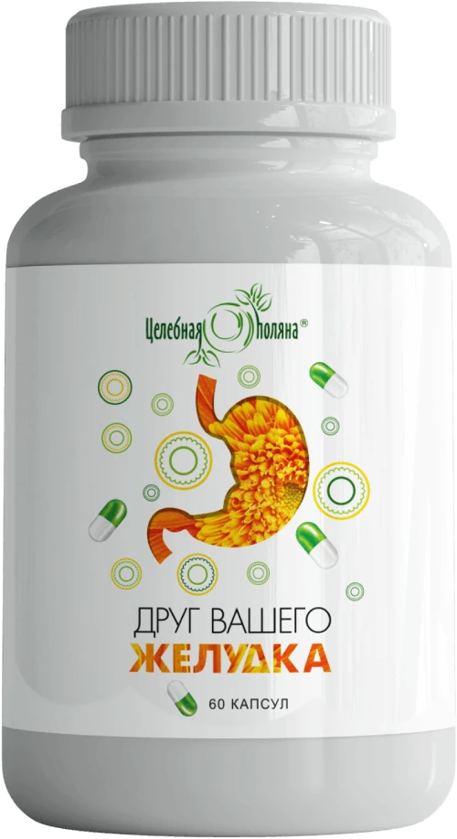 Целебная поляна Друг Вашего желудка, капсулы, 60 шт. фото
