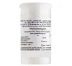 Хелидониум майюс С6, гранулы гомеопатические, 5 г, 1 шт. фото