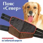 Север Пояс согревающий из собачьей шерсти, р. 56-58, 1 шт. фото