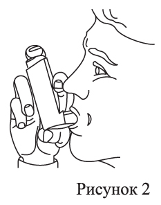 Инструкция по применению Беклометазон-аэронатив, 100 мкг/доза, 200 доз, аэрозоль для ингаляций дозированный, 1 шт. - схема 2