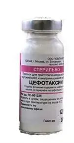 Цефотаксим, 1 г, порошок для приготовления раствора для внутривенного и внутримышечного введения, 50 шт. фото 2