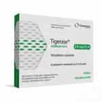 Тигераза, 2.5 мг/2.5 мл, раствор для ингаляций, 2.5 мл, 6 шт. фото