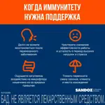 Комплинекс Иммуно, капсулы, 14 шт. фото 5