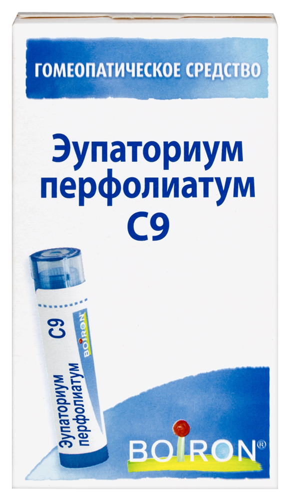 Эупаториум перфолиатум С9, гранулы гомеопатические, 4 г, 1 шт. фото