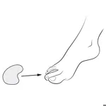 B.Well Разделитель межпальцевый FW-644, набор, 3 шт, М+S 2шт+1шт фото 3