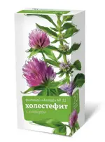 Фиточай Алтай №31 Холестефит, фиточай, 2 г, 20 шт. фото